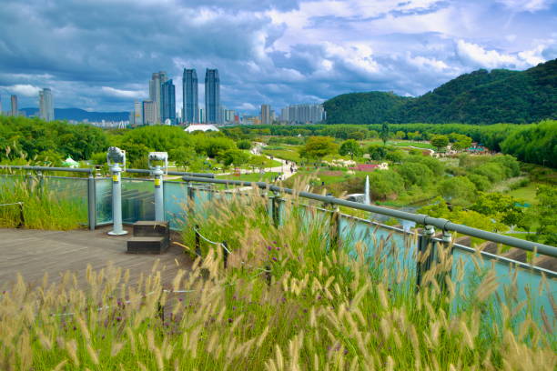 울산오피 플랫폼 개요