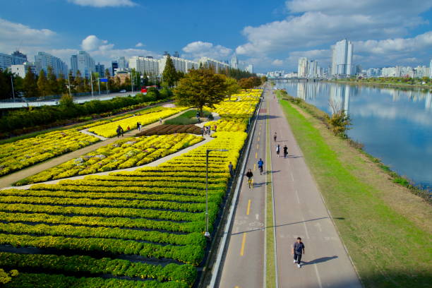 울산오피 서비스 안내